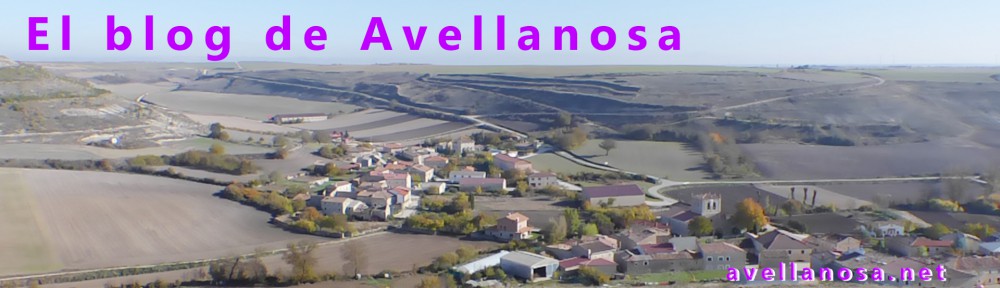 Avellanosa Blog